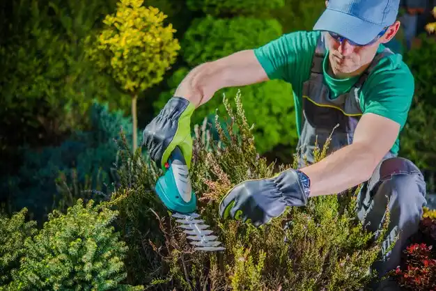 landscaping services O'Fallon